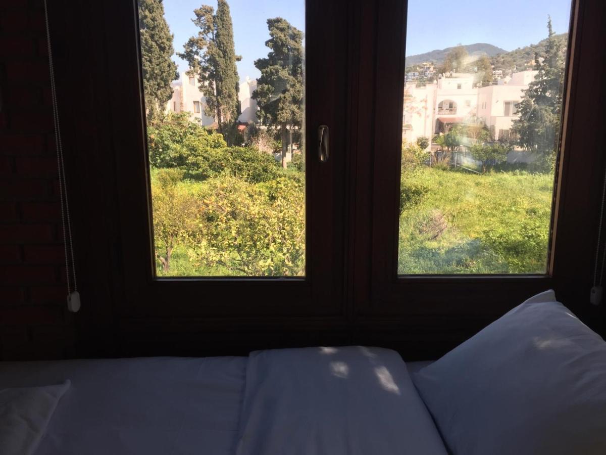 Nomia Boutique Hotel 亚力卡瓦克 外观 照片