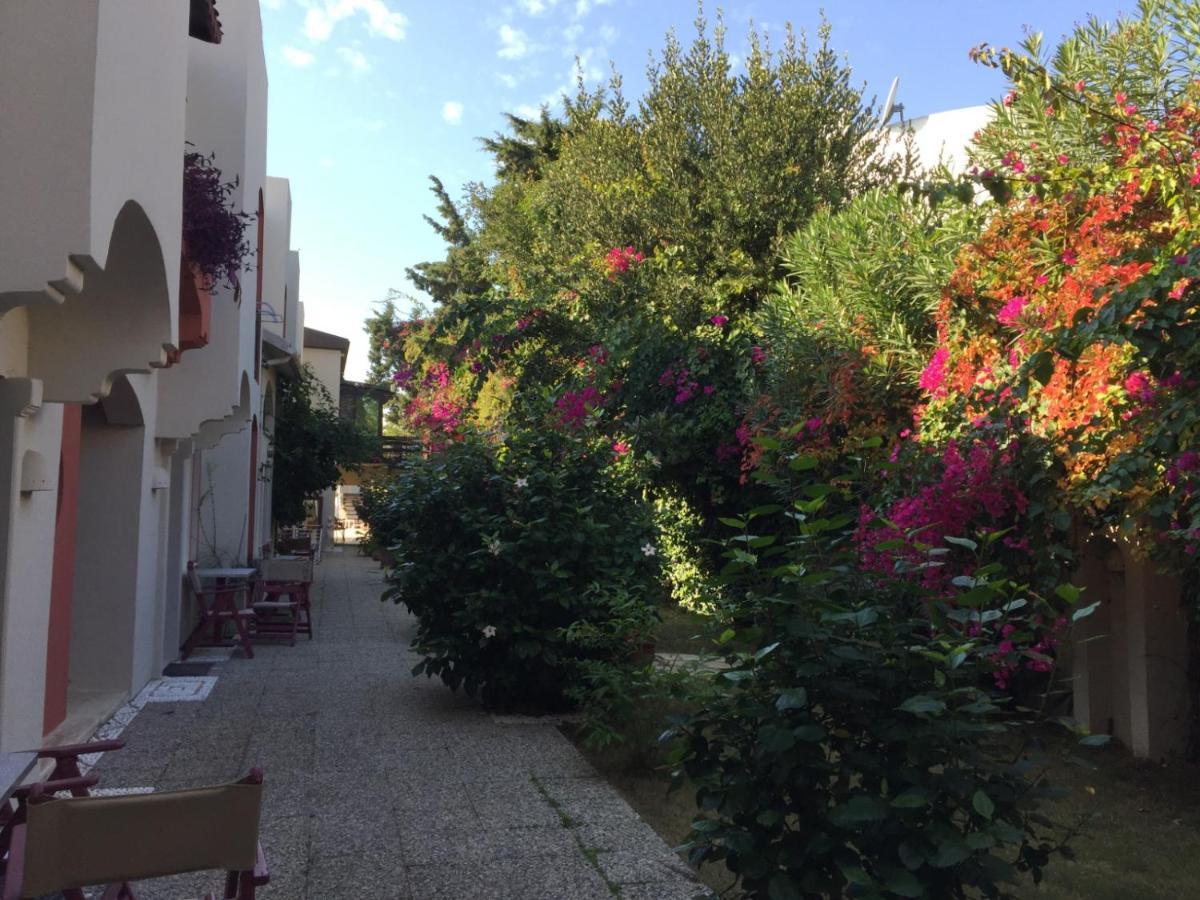 Nomia Boutique Hotel 亚力卡瓦克 外观 照片