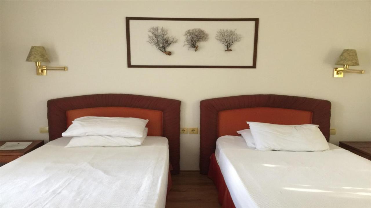 Nomia Boutique Hotel 亚力卡瓦克 外观 照片