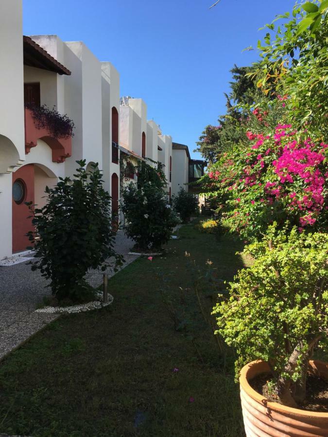 Nomia Boutique Hotel 亚力卡瓦克 外观 照片